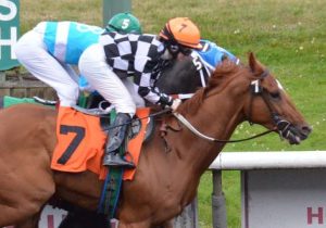 Photo credit: You As A Machine via Visual Hunt / CC BY-SA