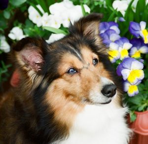 Photo credit: biscorogus via VisualHunt.com / CC BY-NC-SA