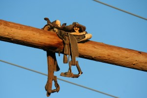 Photo credit: lars hammar via Visualhunt /  CC BY-NC-SA