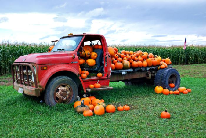 Chevy-truck-cornfield-pumpkins