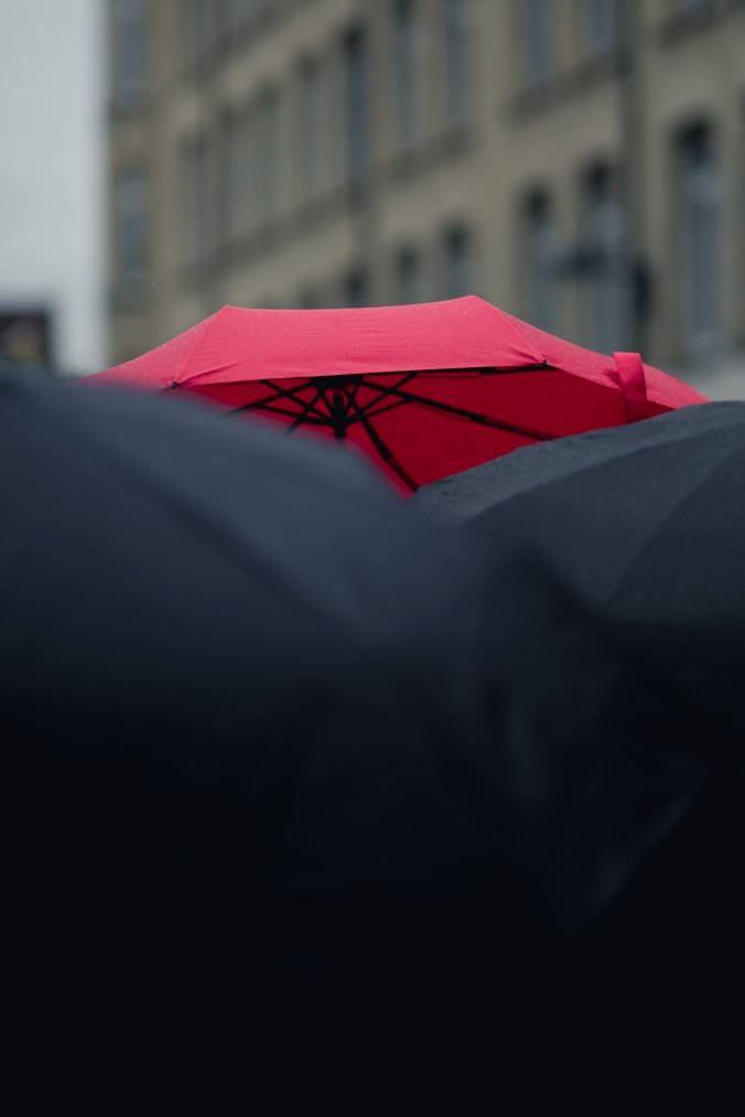 red-umbrella-in-a-sea-of-black-umbrellas