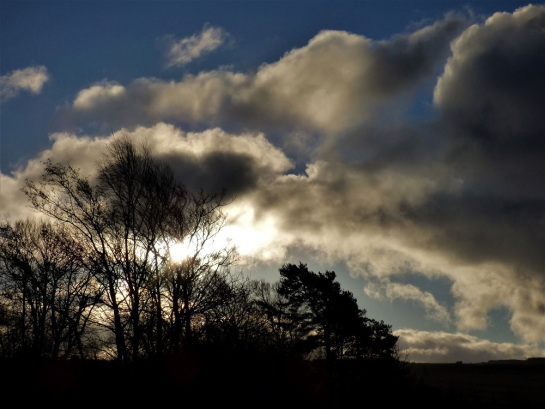 the image shows the sun behind the bare branches of winter trees in a blue sky darkened by clouds.