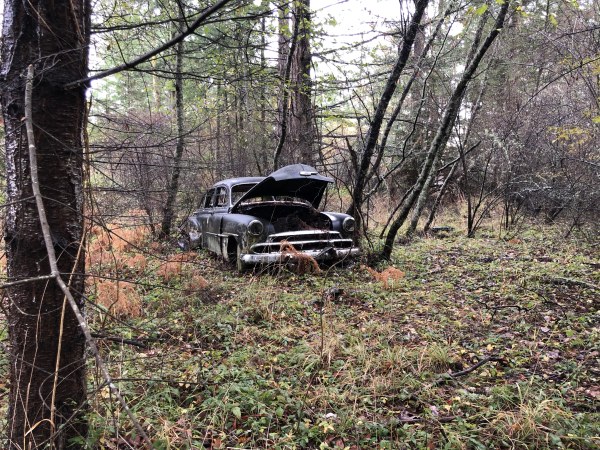 ff-teds-car-in-the-woods