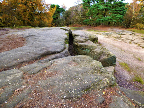 the image shows a clearing in an autumnal wood, where what appears to be a large crack runs the rock floor.