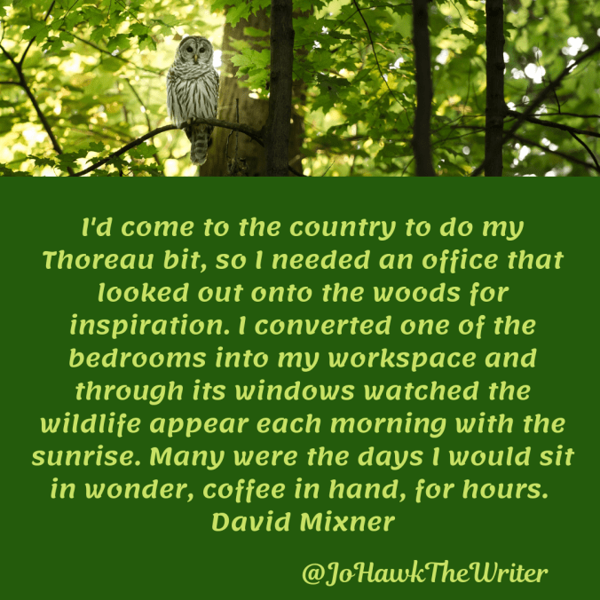 id-come-to-the-country-to-do-my-thoreau-bit-so-i-needed-an-office-that-looked-out-onto-the-woods-for-inspiration.-i-converted-one-of-the-bedrooms-into-my-workspace-and-through-its-window.