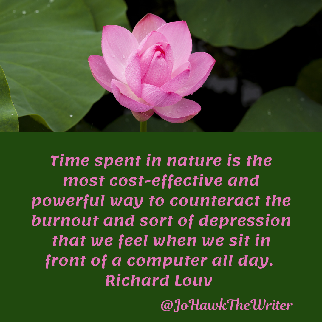 time-spent-in-nature-is-the-most-cost-effective-and-powerful-way-to-counteract-the-burnout-and-sort-of-depression-that-we-feel-when-we-sit-in-front-of-a-computer-all-day.-richard-louv.