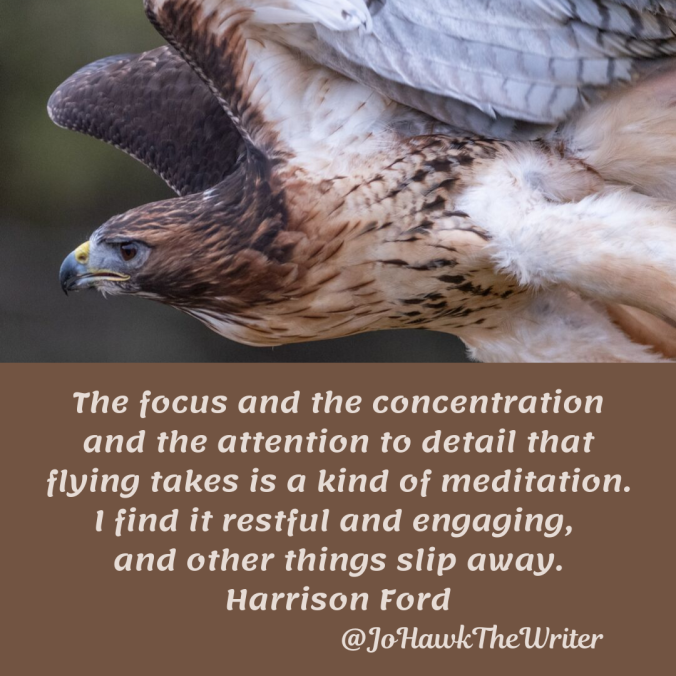 the-focus-and-the-concentration-and-the-attention-to-detail-that-flying-takes-is-a-kind-of-meditation.-i-find-it-restful-and-engaging-and-other-things-slip-away.-harrison-ford.