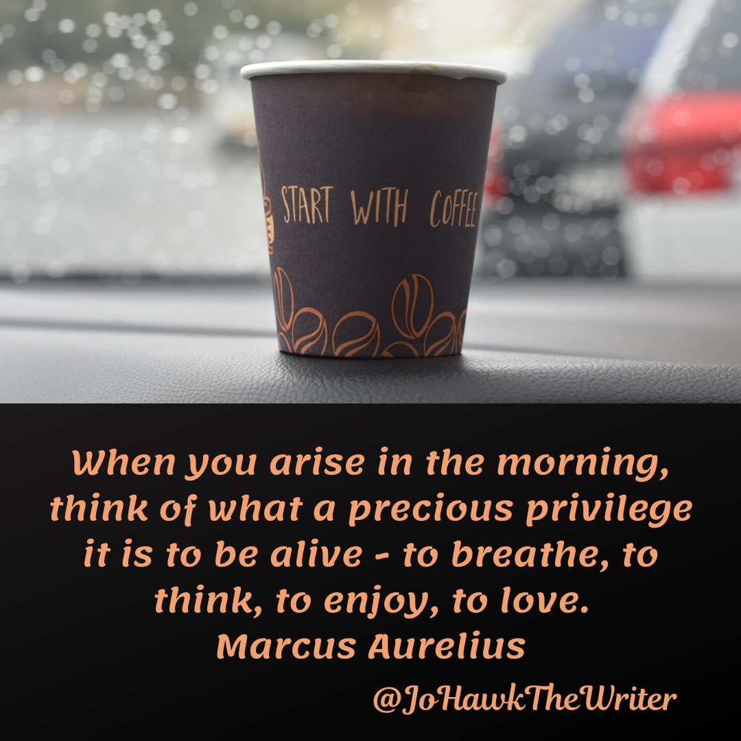 when-you-arise-in-the-morning-think-of-what-a-precious-privilege-it-is-to-be-alive-to-breathe-to-think-to-enjoy-to-love.-marcus-aurelius