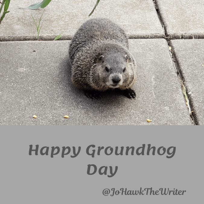 happy groundhog day