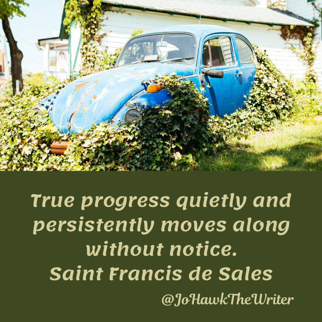 true-progress-quietly-and-persistently-moves-along-without-notice.-saint-francis-de-sales