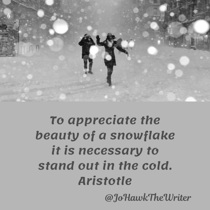 to-appreciate-the-beauty-of-a-snowflake-it-is-necessary-to-stand-out-in-the-cold.-aristotle
