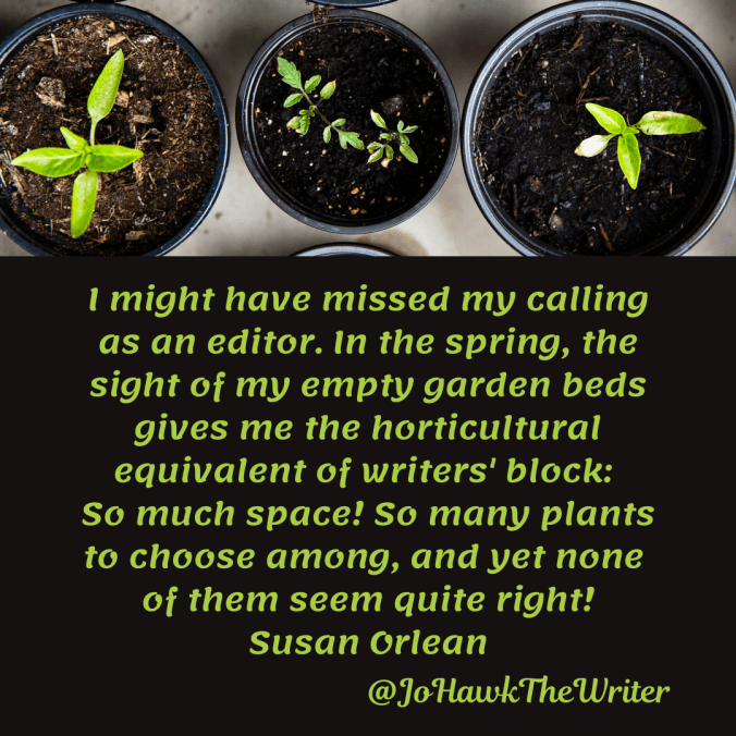i-might-have-missed-my-calling-as-an-editor.-in-the-spring-the-sight-of-my-empty-garden-beds-gives-me-the-horticultural-equivalent-of-writers-block_-so-much-space-so-many-plants-to-choos.