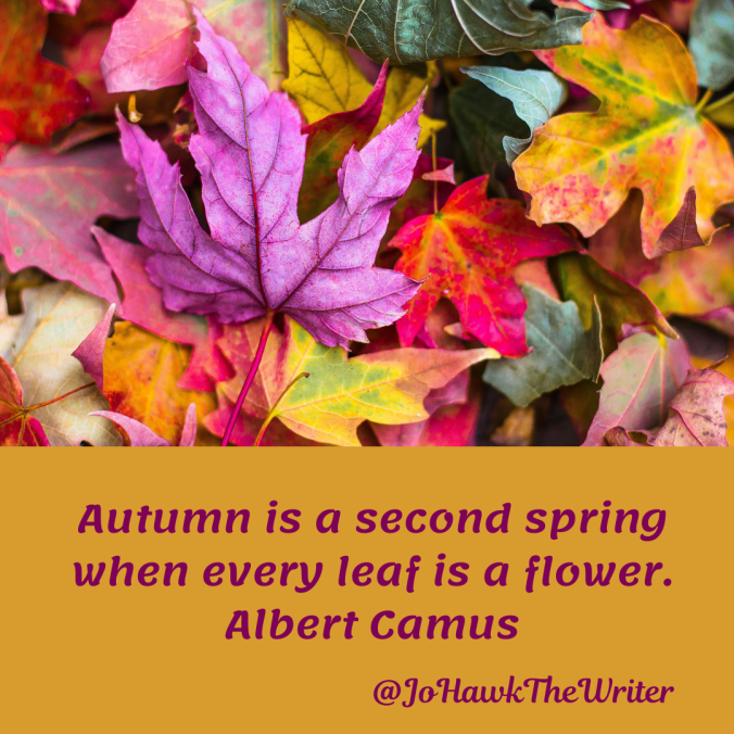 autumn-is-a-second-spring-when-every-leaf-is-a-flower.-albert-camus