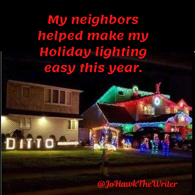 my-neighbors-helped-make-my-holiday-lighting-easy-this-yea