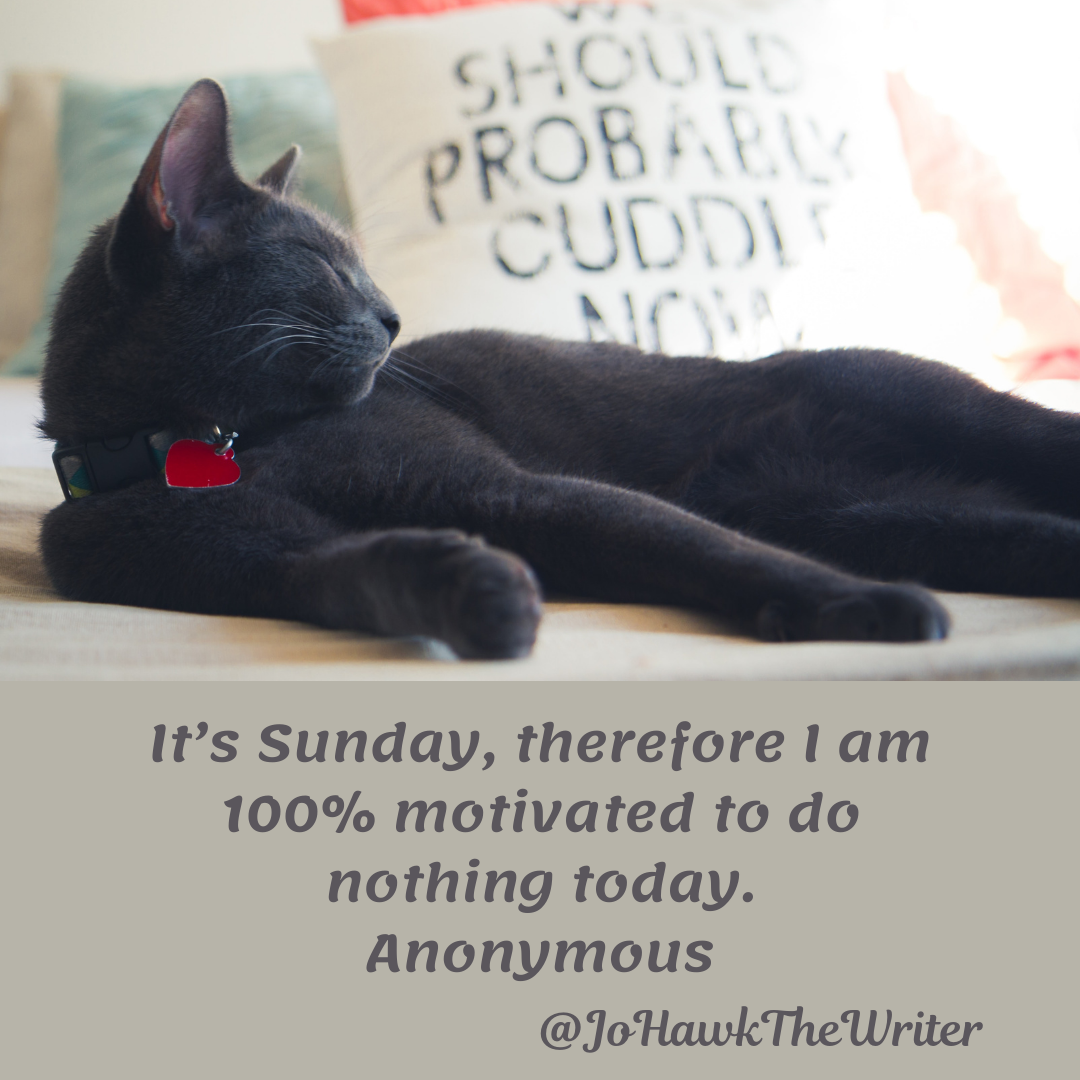 its-sunday-therefore-i-am-100-motivated-to-do-nothing-today.-anonymous