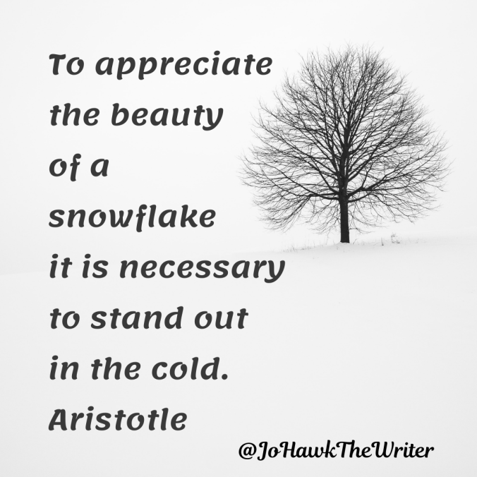 to-appreciate-the-beauty-of-a-snowflake-it-is-necessary-to-stand-out-in-the-cold.-aristotle