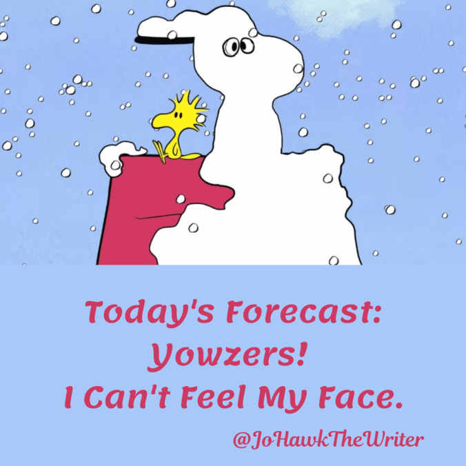 todays-forecast_-yowzers-i-cant-feel-my-face