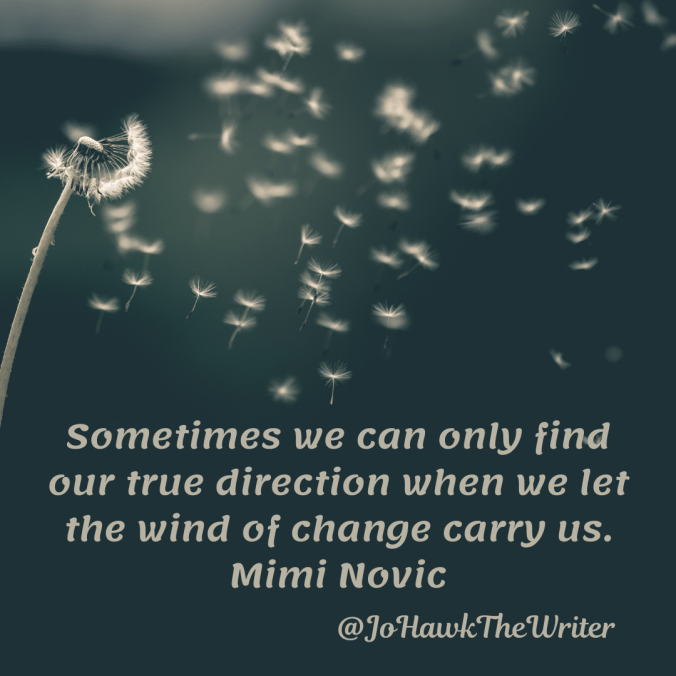 sometimes-we-can-only-find-our-true-direction-when-we-let-the-wind-of-change-carry-us.-mimi-novic